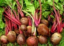beet root